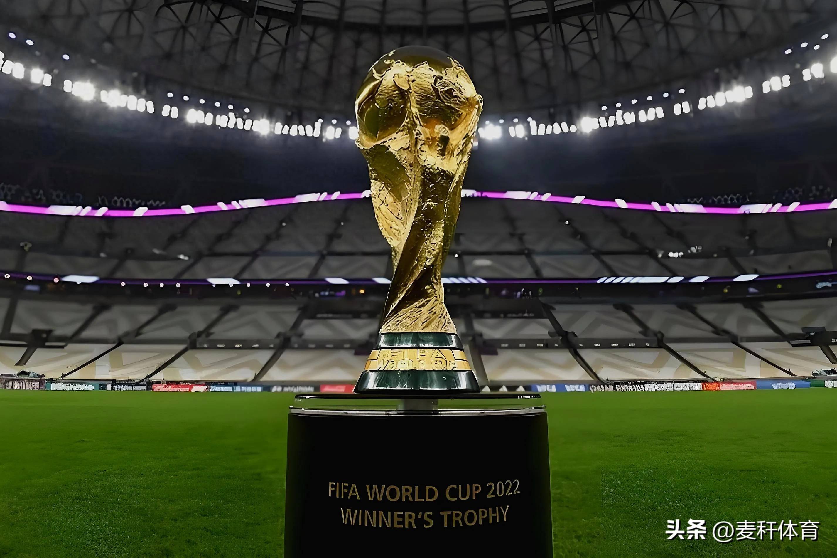 他们不仅仅 他们不仅仅