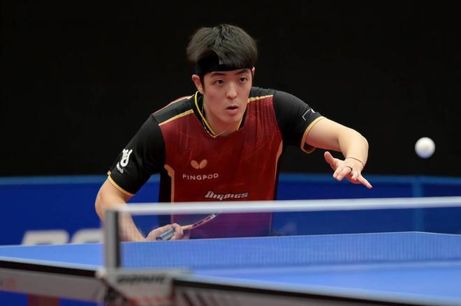 项目和比赛 项目和比赛